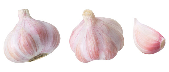 Collection garlic on isolated white background. Garlic cloves and whole.