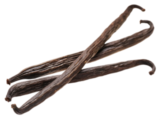 Dried vanilla pods isolated on a transparent background