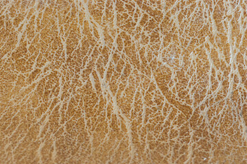 Abstract background, brown leather texture, copy space.