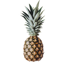 Fototapeta premium Ripe Pineapple Vibrant Tropical Fruit Photography isolated on transparent background