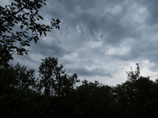Dark, Overcast Sky Above Silhouetted Tree Canopies at Dusk