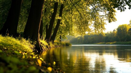 Obraz premium peaceful riverbank with trees reflecting in the water, no people