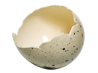 Speckled eggshell fragment isolated on a transparent background