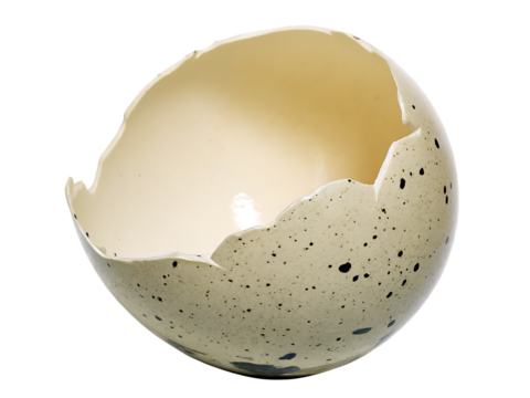 Speckled eggshell fragment isolated on a transparent background