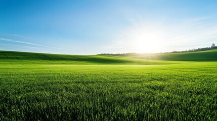 Obraz premium tranquil green pasture with a clear sky above