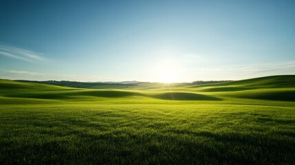 Obraz premium tranquil green pasture with a clear sky above