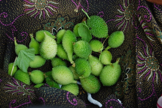 green and red apples