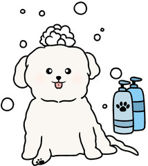 샤워하는 강아지