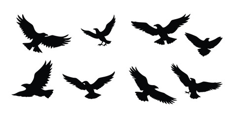 Black silhouette eagle bird flying wing spread wings spread