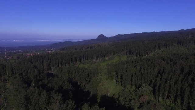The hills and damar forests can be seen from above using a drone from the Baturraden area in Purwokerto.