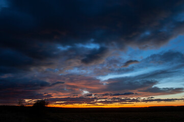 Beautiful sunset over a field with trees in the summer-autumn season. low angle view