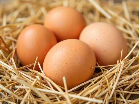 Four brown eggs nestled in straw in a rustic setting. National Farmer’s Day - Powered by Adobe