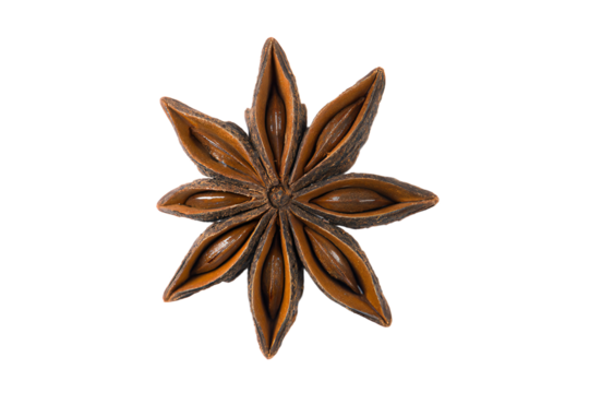 anise star on a white background