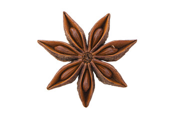 anise star on a white background