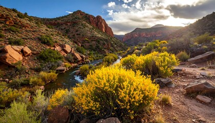 Scenic Canyon Landscape River Flowing Through Red Rock Mountains at Sunset.