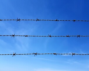 Barbed wire on blue sky background.