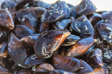 Close-up of Turkish stuffed mussels with rice, a traditional street snack popular in coastal cities...