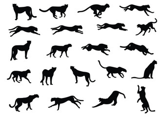 Cheetah silhouette set. Cheetah in different poses: sitting, standing, walking and running. Separate. Vector illustration. White background.