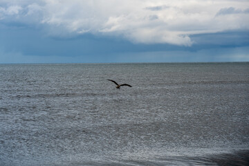 Calm Baltic Sea on a summer morning, Liepaja, Latvia.
