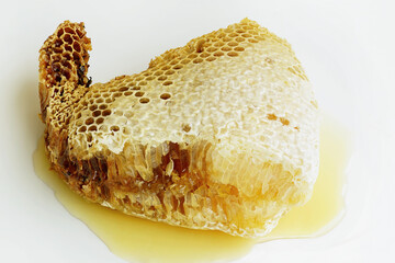 Details of the honeycomb and larvae