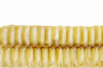 Details of the honeycomb and larvaeDetails of the honeycomb and larvae