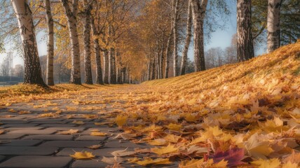 A path covered in fallen leaves leading through a birch tree lined park in the autumn season