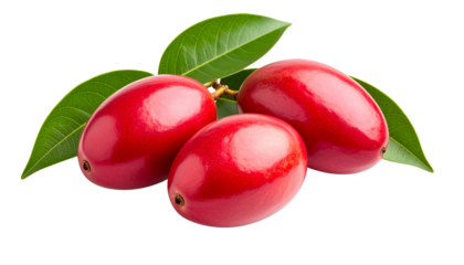 Three Vibrant Buah Merah Fruits with Lush Green Leaf – Transparent Background