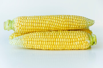 Several fresh ears of corn stacked together, focus on the kernels and husk details.