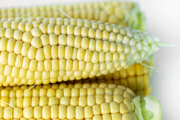 Extreme close-up of corn kernels, showing smooth texture and natural shine.
