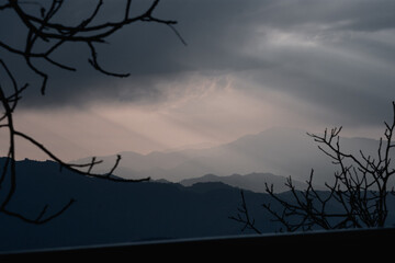 Silhouetted Trees with Mountain Layers at Dusk