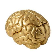 A golden brain sculpture on a transparent background. The brain features intricate details and a shiny finish, symbolizing intelligence and creativity.