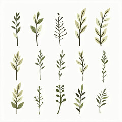 Botanical Twigs Illustration on White Background with Sun

