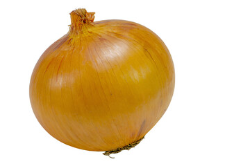 a yellow onion on a white background