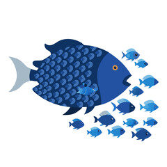 fish on blue background