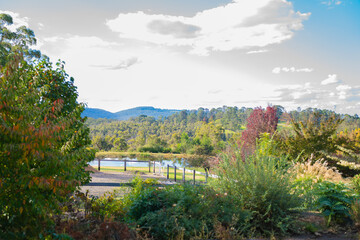 autumn trees forest landscape road lake