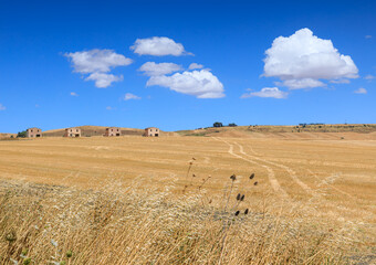 Summer hilly landscape with harvested fields in Apulia, Italy: abandoned farmhouses in the background.
