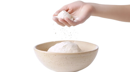 Pinch of Maida Flour