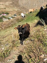 Hidden gems in Georgia, Europe