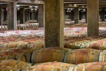 Oak barrels aging red wine in Rioja winecellars Spain winemaking process