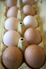 Brown chicken eggs in paper box close up.