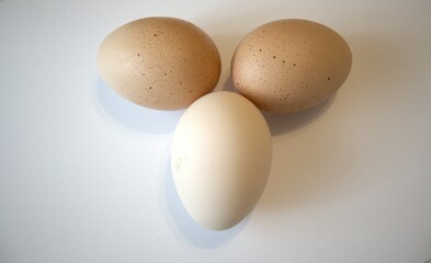 3 brown chicken eggs isolated on white background