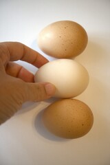 3 brown chicken eggs isolated on white background with hand