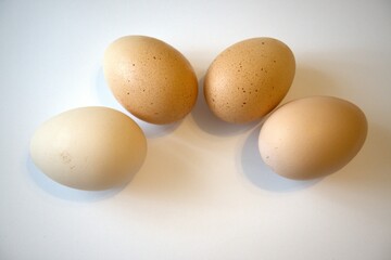 4 brown chicken eggs isolated with white background.