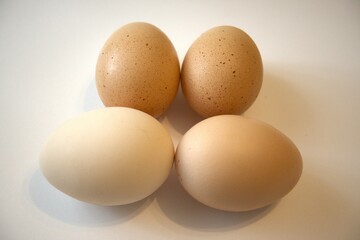 4 brown chicken eggs isolated with white background.