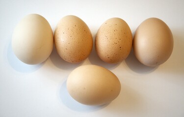 5 brown chicken eggs isolated with white background.