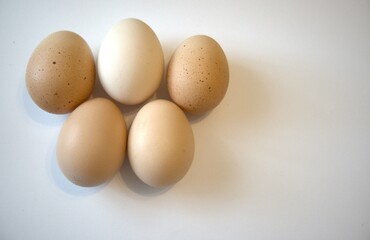 5 brown chicken eggs isolated with white background.