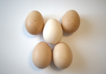 5 brown chicken eggs isolated with white background.