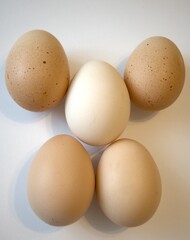 5 brown chicken eggs isolated with white background.