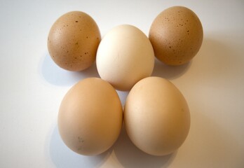 5 brown chicken eggs isolated with white background.