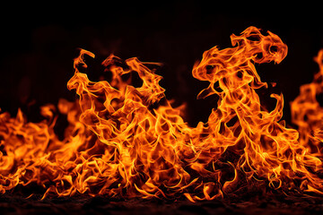 Scene of a forest engulfed in flames